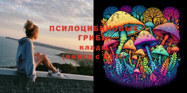 спиды Кулебаки