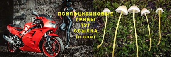 прущая мука Лабытнанги