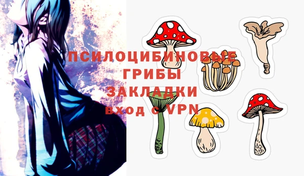 PSILOCYBIN Кукмор
