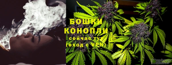 PSILOCYBIN Кукмор