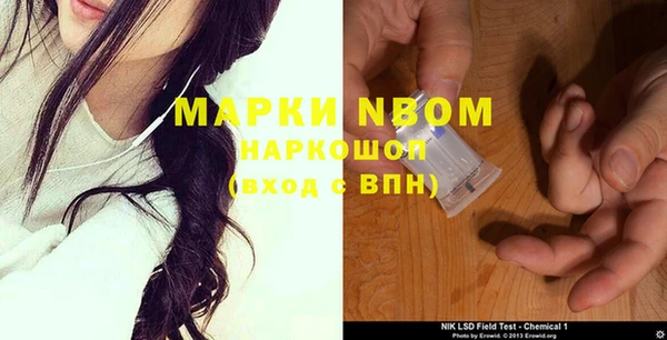 PSILOCYBIN Кукмор