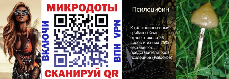 Купить  Дагестанские Огни  Псилоцибиновые грибы MAGIC MUSHROOMS 